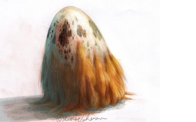 Syméon et les Aedres – 4