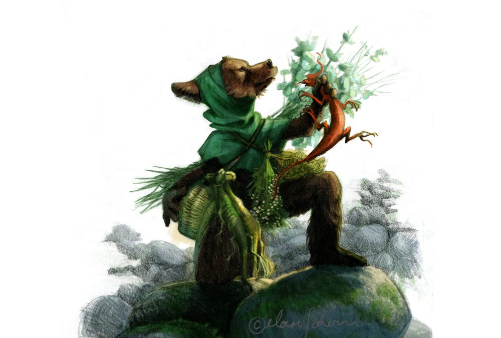 Une si belle chasse…